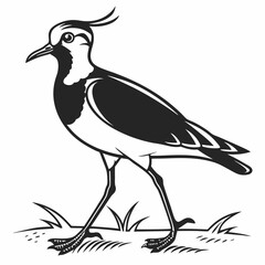 Lapwing silhouette icon vector