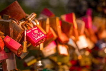 In the soft, warm light of late afternoon, Cologne's Hohenzollernbrücke transforms into a symbol of eternal love. This photo captures the glow of countless love locks hanging from the bridge's railing