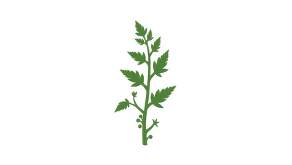 Obraz premium Green Plant with Berries Silhouette