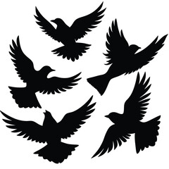 Fototapeta premium Flying Popular birds silhouette isolated on white background.