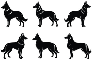 Silhouette of Six Belgian Shepherd Dogs Standing Against a White Background