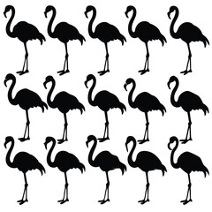 Flying Popular birds silhouette isolated on white background.