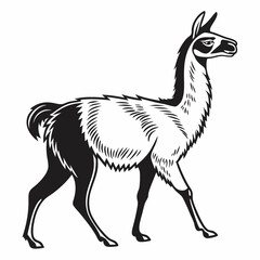 liama silhouette icon vector