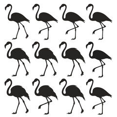 Flying Popular birds silhouette isolated on white background.