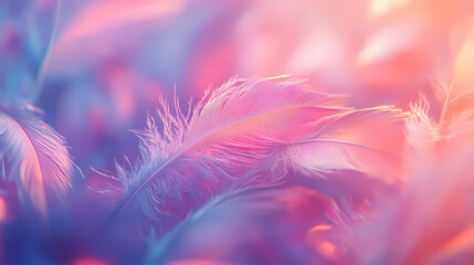 Obraz premium pastel feathers scene