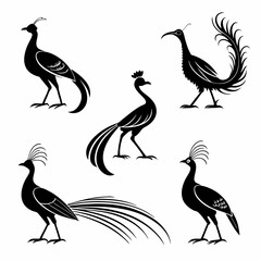 Lyrebird icon set black silhouette icon vector
