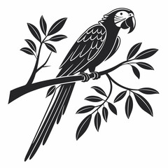 macaw black silhouette icon vector 