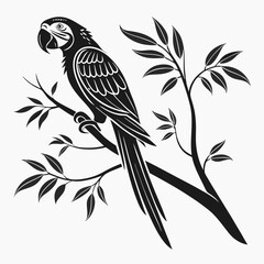 macaw black silhouette icon vector 