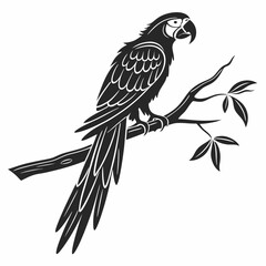 macaw black silhouette icon vector 