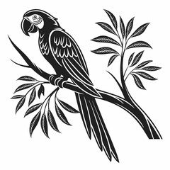 macaw black silhouette icon vector 