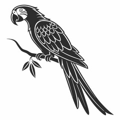 macaw black silhouette icon vector 