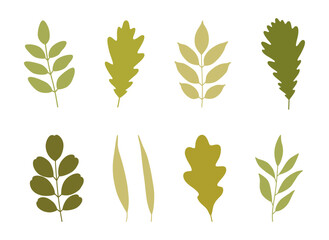 Set of silhouette spring leaves in green colors. Summer background. Foliage of oak, acacia, ash, and willow, isolated on white. Leaf icons, vector illustration © Vodoleyka
