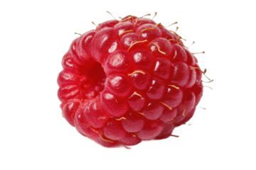 A ripe raspberry on transparent background