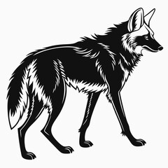 Manedwolf black silhouette icon vector
