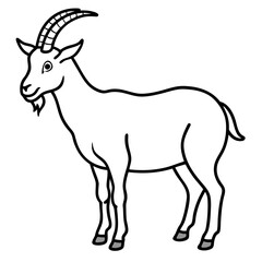 goat vector illustration