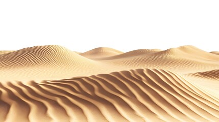 Vast Sand Dune Landscape in Desert