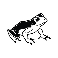 Frog silhouette illustration on white background
