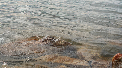 Stones on the shore of Lake Villeneuve-de-la-Raho, France, close-up, vacation, holidays, nature of Europe, water