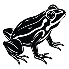 Frog silhouette illustration on a white background
