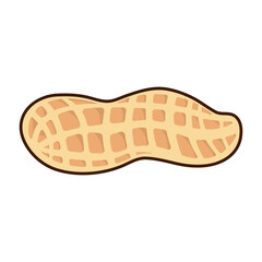 Tasty peanut isolated on white background, flat style vector illustration.