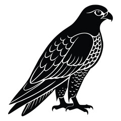 Falcon silhouettes and icons. Black flat color simple elegant white background Falcon animal vector and illustration.
