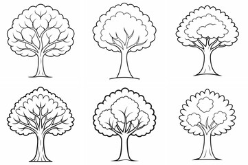 Naklejka premium Cape Chestnut Tree Outline Coloring Book Page – Line Art Drawing Set on White Background