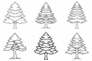 Cedar Tree Outline Coloring Book Page – Line Art Drawing Set on White Background
