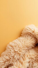 Soft, plush rug against a warm golden backdrop