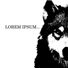 wolf head vector poster