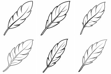 Feather Outline Coloring Book Page – Line Art Drawing Set on White Background