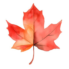 Watercolor Red And Orange Maple Leaf On Transparent Background