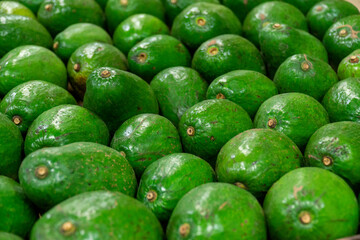 A vibrant collection of fresh green avocados neatly arranged in a market display. Each avocado showcases its smooth, unblemished skin, reflecting a rich green hue. 