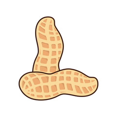 Tasty peanut isolated on white background, flat style vector illustration.