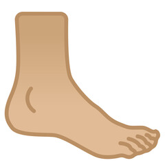 Foot
