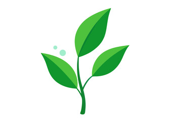 Fresh green leaves isolated on white signify natural spring growth