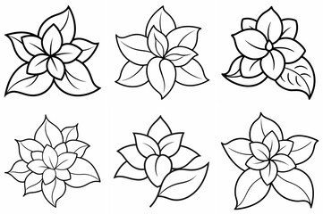 asmine Flower Outline Coloring Page - Line Art Drawing Set on White Background