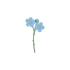 Naklejka premium Delicate flat light blue forget me not flower illustration with small petals and green stem on white background