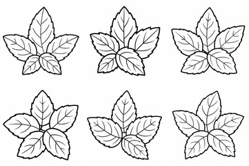  Mint Leaves Outline Coloring Book Page Line Art Drawing Set