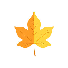 Vivid fall birch leaf in golden yellow minimalist style Perfect for autumn designs