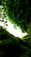 beautiful wallpaper with a refreshing nature theme