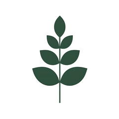 Fototapeta premium Minimalistic flat design of a dark green fern leaf with symmetrical fronds on a white background