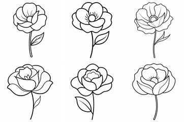Poppy Flower Outline Coloring Book Page Line Art Drawing Set