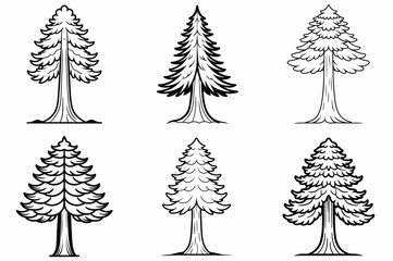 Obraz premium Redwood Tree Outline Coloring Book Page Line Art Drawing Set