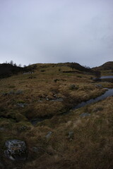 Tjørnakovtjørna lake in Norway, Jaanuary