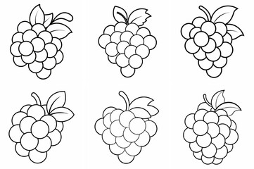 Various Grapes Outline Coloring Book Page Line Art Drawing Set