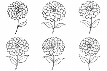 Zinnia Flower Outline Coloring Page Line Art Drawing Set