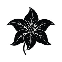 Elegant floral vector illustration features a black and white lily blossom, a timeless nature design element