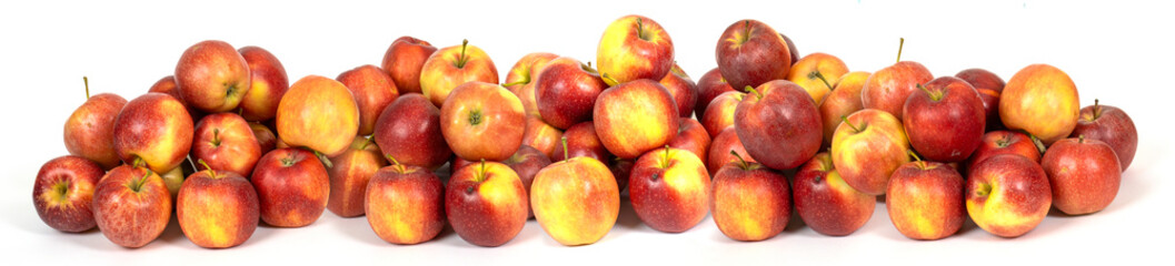 Harvest of vibrant apples collected during a sunny autumn afternoon at the orchard, showcasing nature's bounty in colorful display