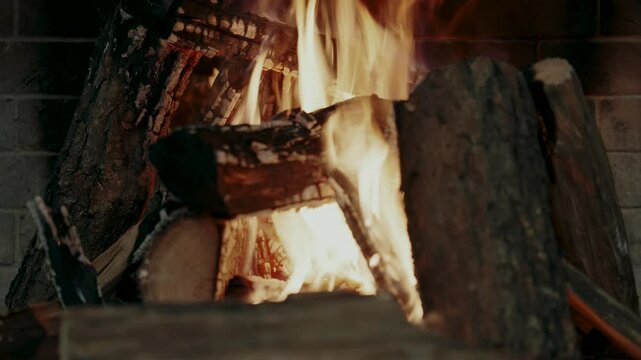 Wood is burning in the fireplace - close up