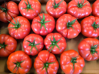 Red tomatoes. Qualitative background from tomatoes. Fresh tomatoes